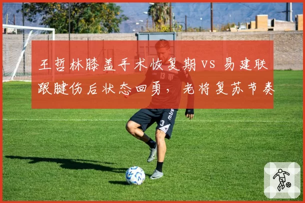 王哲林膝盖手术恢复期 vs 易建联跟腱伤后状态回勇，老将复苏节奏大不同