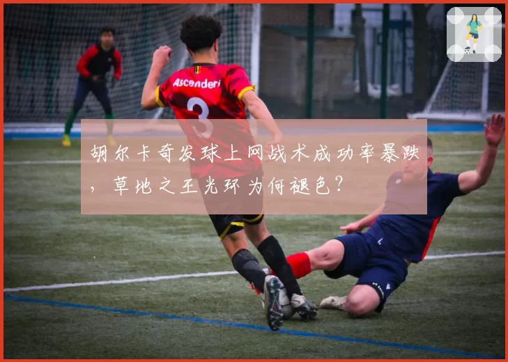 胡尔卡奇发球上网战术成功率暴跌，草地之王光环为何褪色？