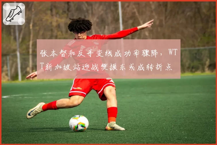 张本智和反手变线成功率骤降,WTT新加坡站迎战樊振东或成转折点