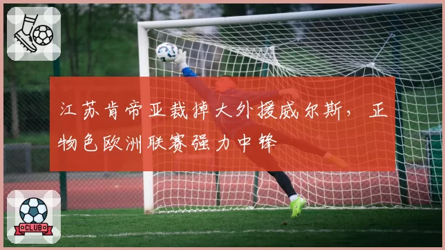 江苏肯帝亚裁掉大外援威尔斯,正物色欧洲联赛强力中锋